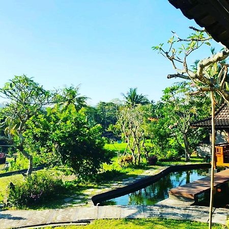 Noka Homestay 시데멘 외부 사진
