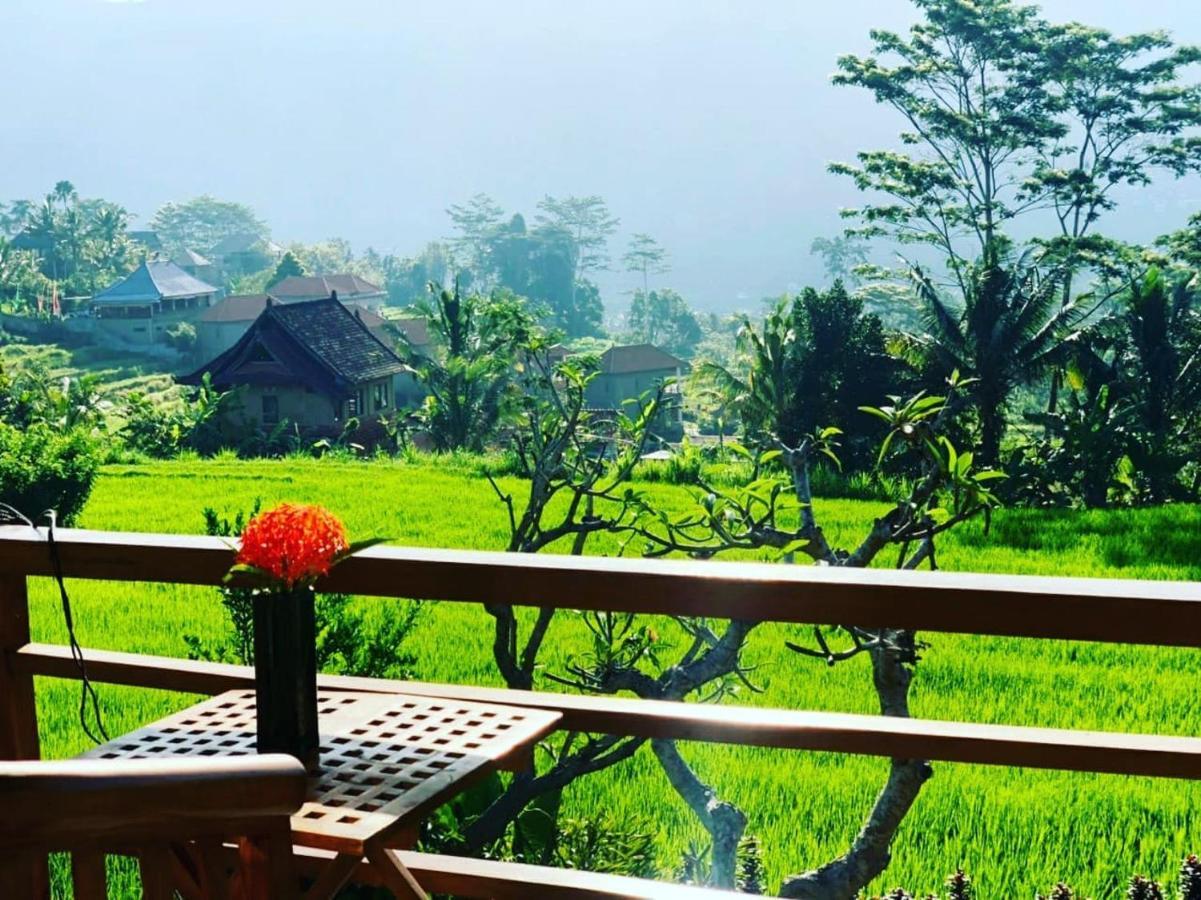 Noka Homestay 시데멘 외부 사진