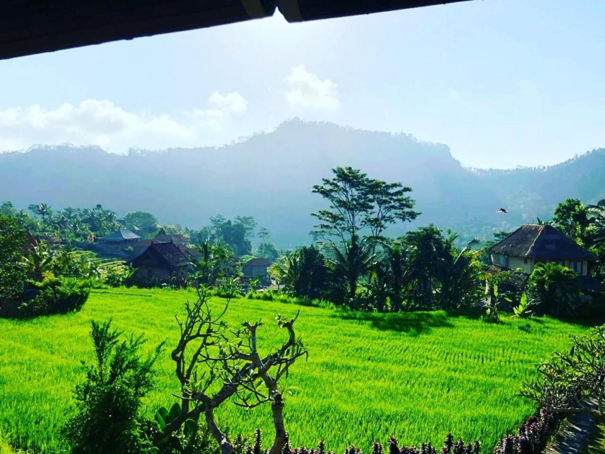 Noka Homestay 시데멘 외부 사진