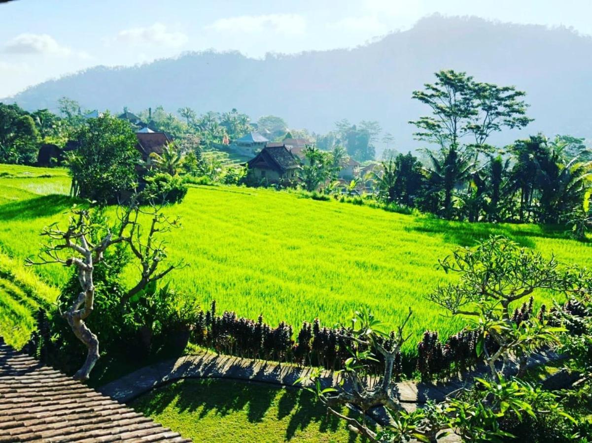 Noka Homestay 시데멘 외부 사진